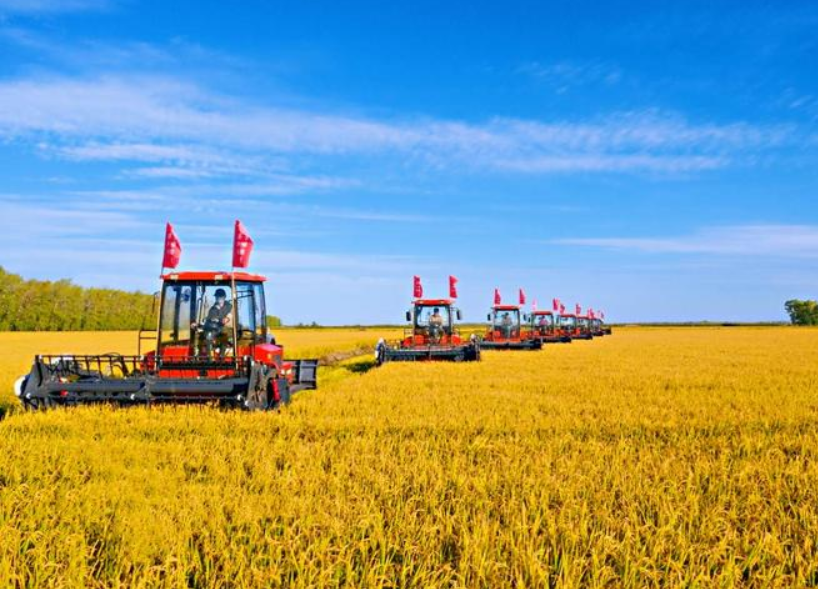 農(nóng)產(chǎn)品配送公司為您分享報道：今年全年糧食有望再獲豐收